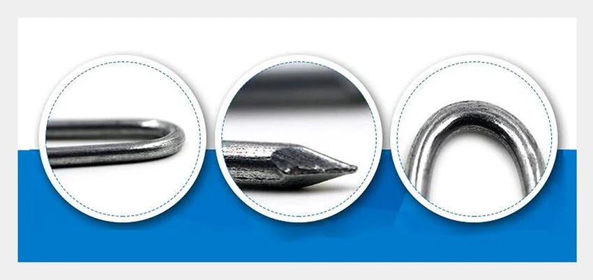 U shaped iron nails details