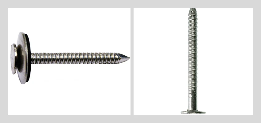 stainless roofing nails