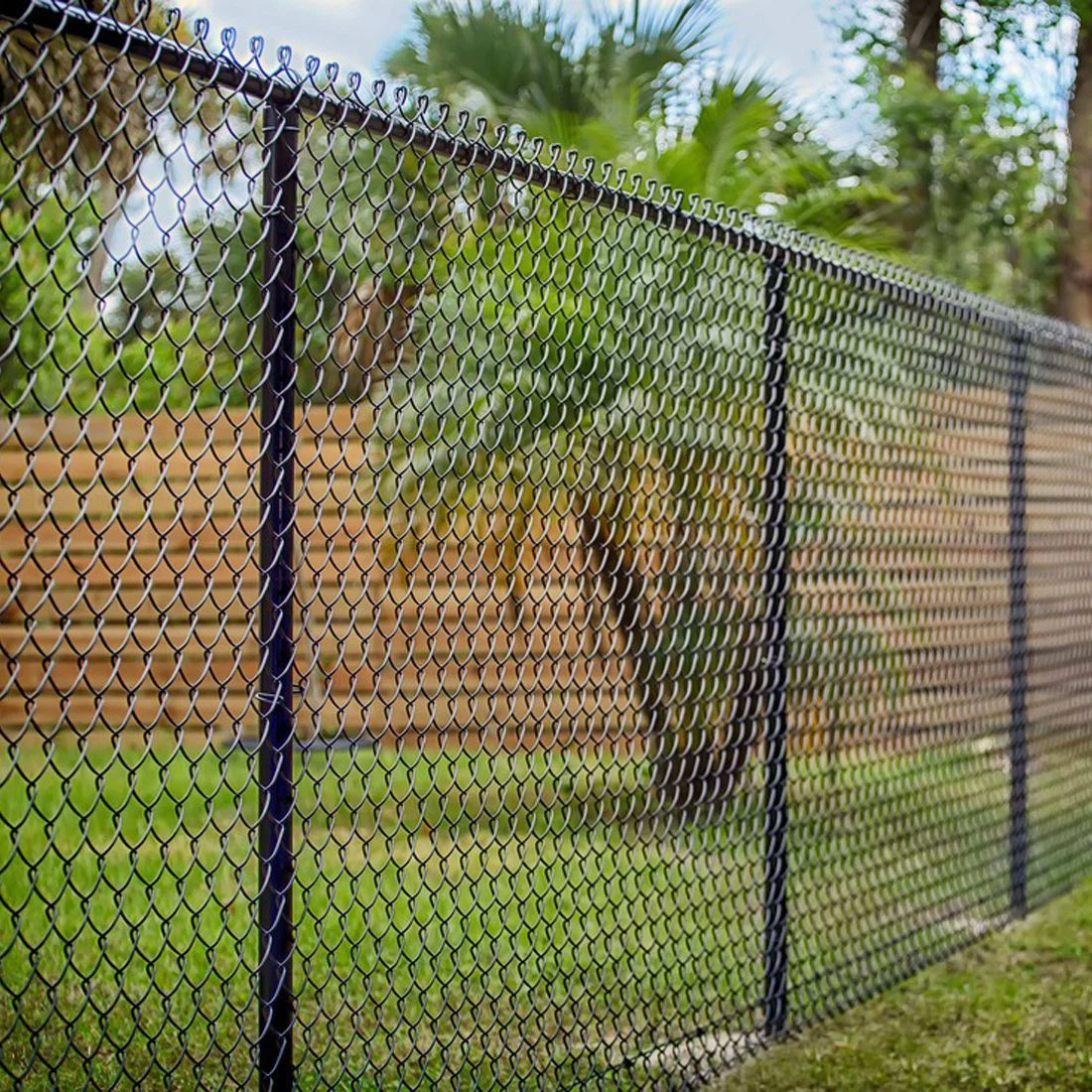 Žica i žičana mreža