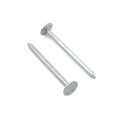 Ekstra Large Head Clout Nail