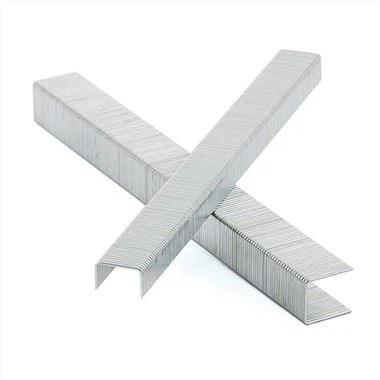 Galvanized Staples
