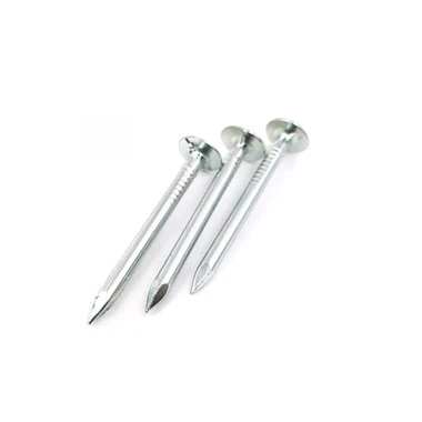 Clout Roofing Nails