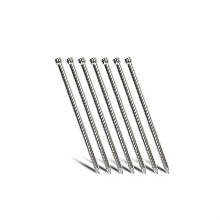 Electro Galvanized Jolt Head Nails Manufacturers